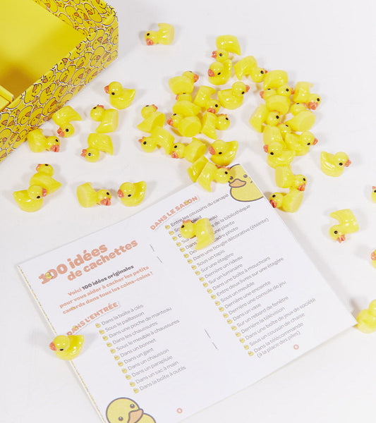 Mini enten 100er