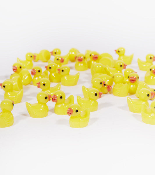 Mini enten 100er