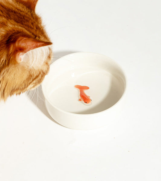 Katzen futternapf fisch spielzeug