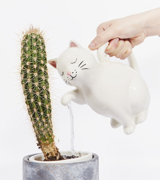 Gießkanne katze