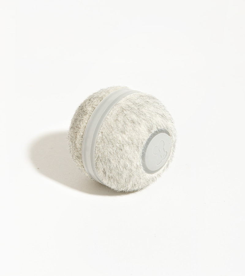 Interaktiver katzenball