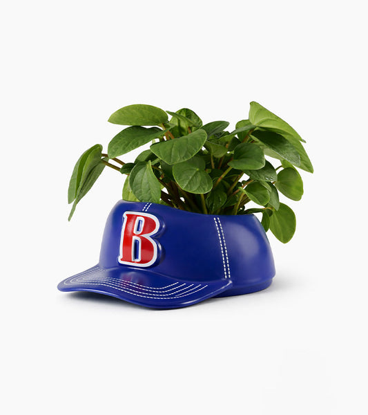 Schüssel cap baseball