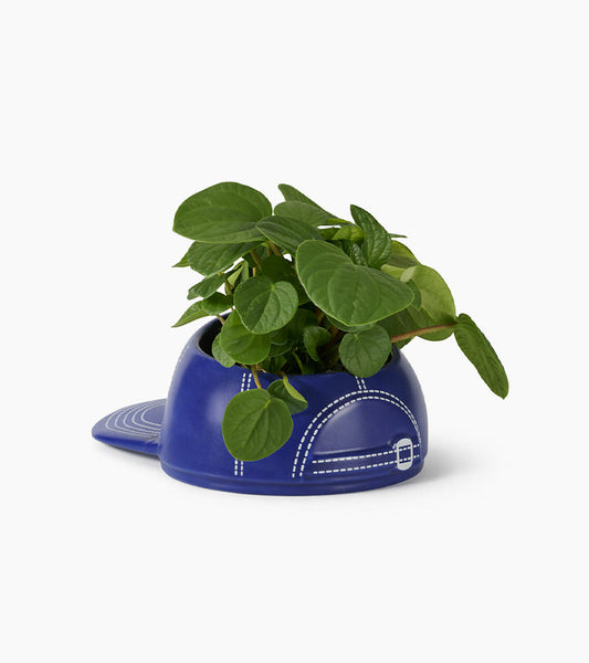 Schüssel cap baseball