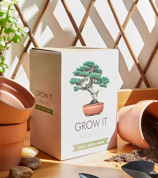 Bonsai pflanzset