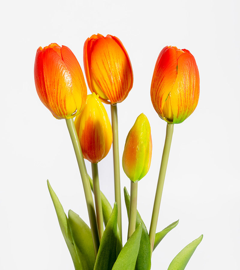 Tulpenstrauß realistisch