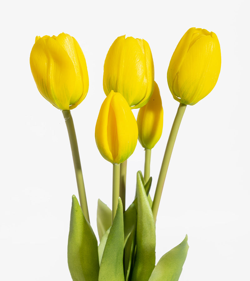 Tulpenstrauß realistisch