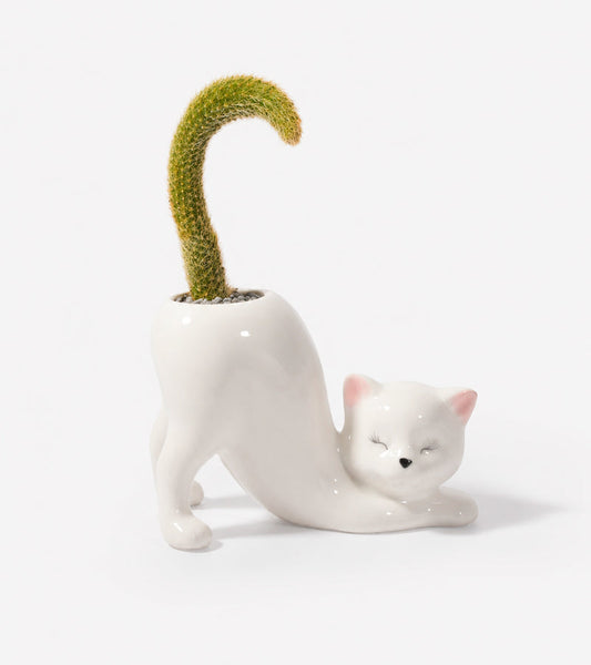 Übertopf Yoga-Katze