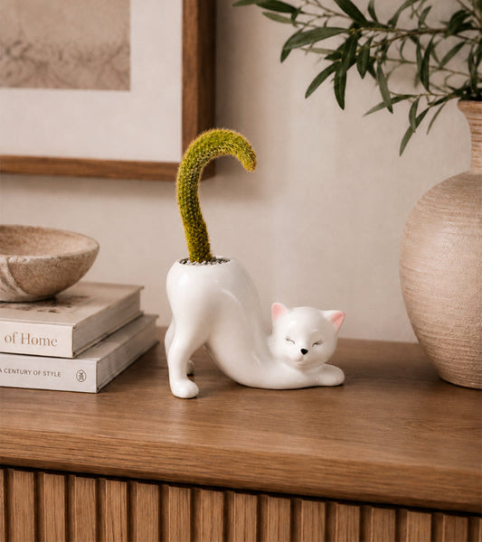 Übertopf Yoga-Katze