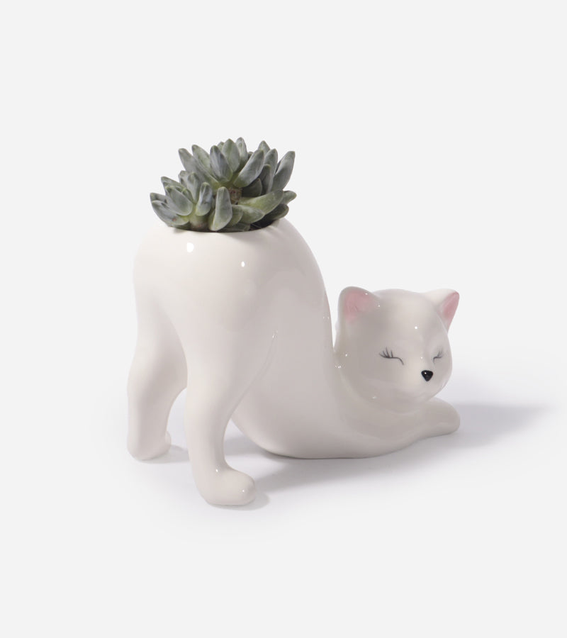 Übertopf Yoga-Katze