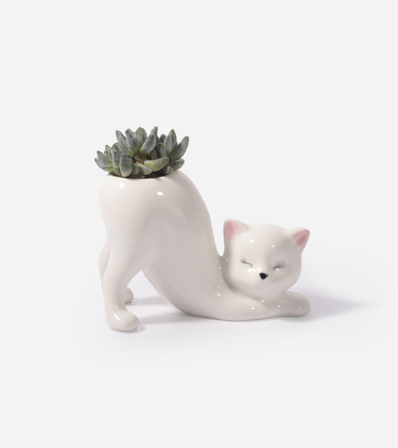 Übertopf Yoga-Katze