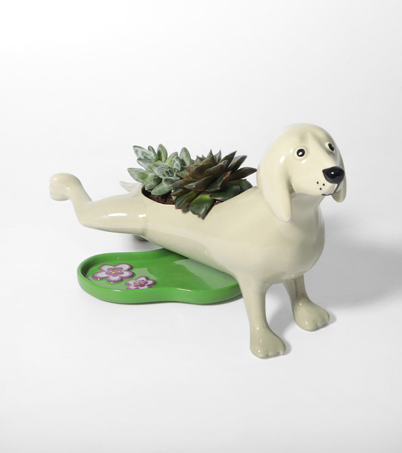 Blumentopf hund pipi
