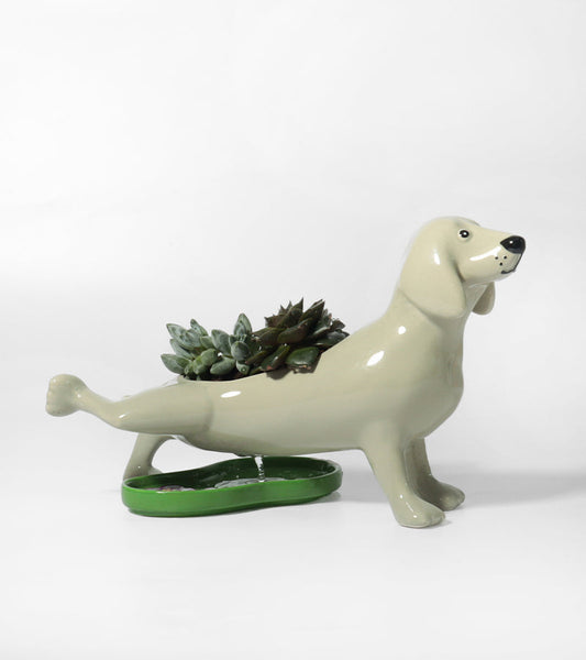 Blumentopf hund pipi