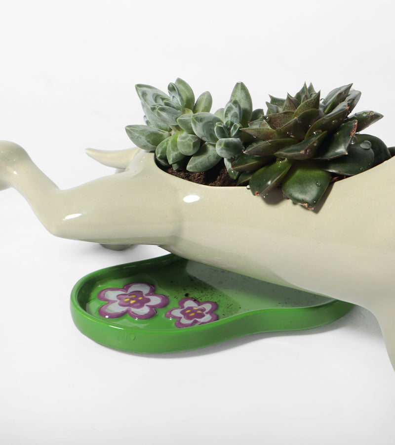 Blumentopf hund pipi