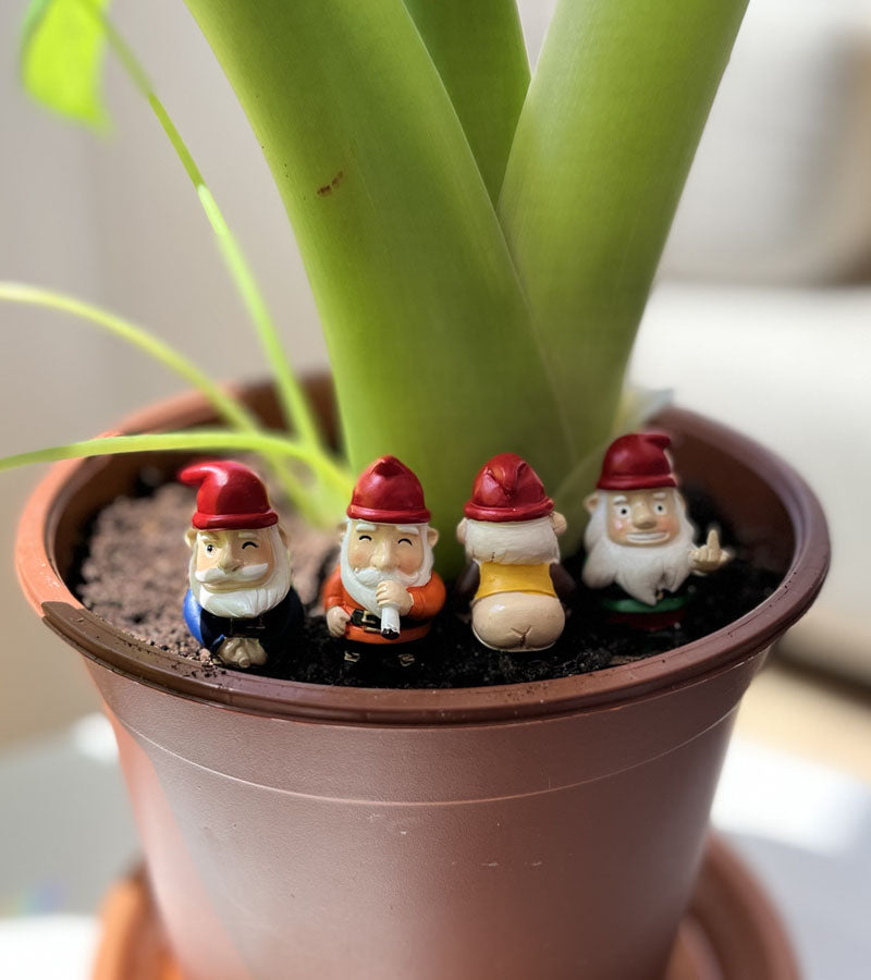 Gartenzwerge mini frech