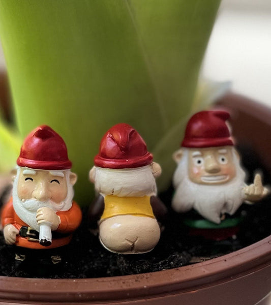 Gartenzwerge mini frech