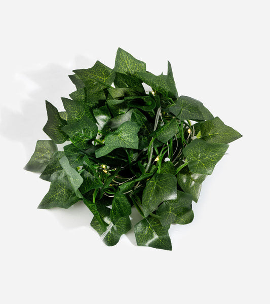 Lichterkette efeu