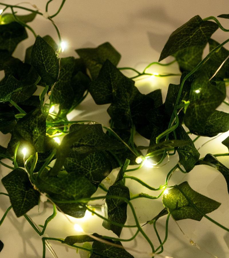 Lichterkette efeu