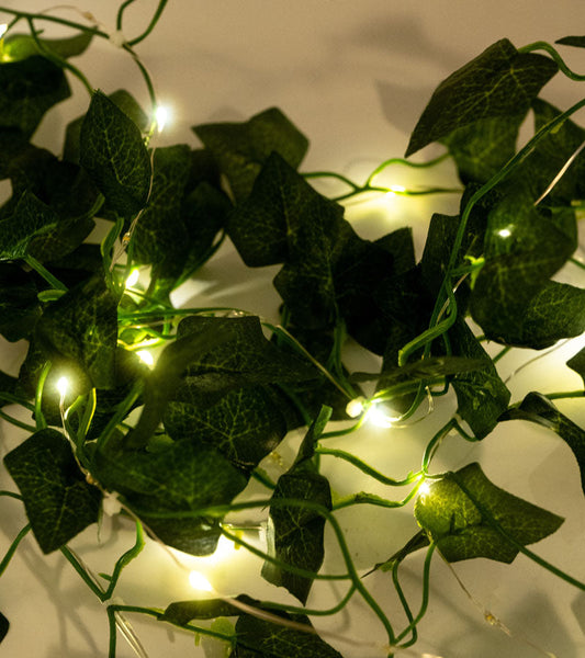 Lichterkette efeu