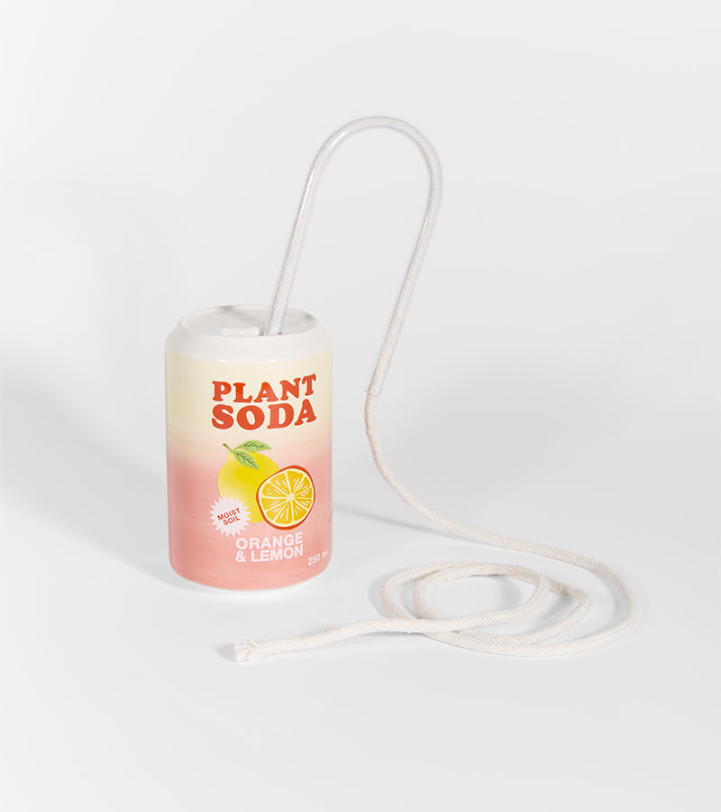 Pflanzenbewässerer im Soda-Dosen-Design