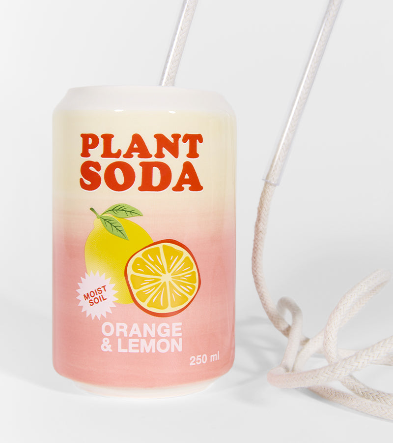 Irrigateur pour Plante Canette Soda