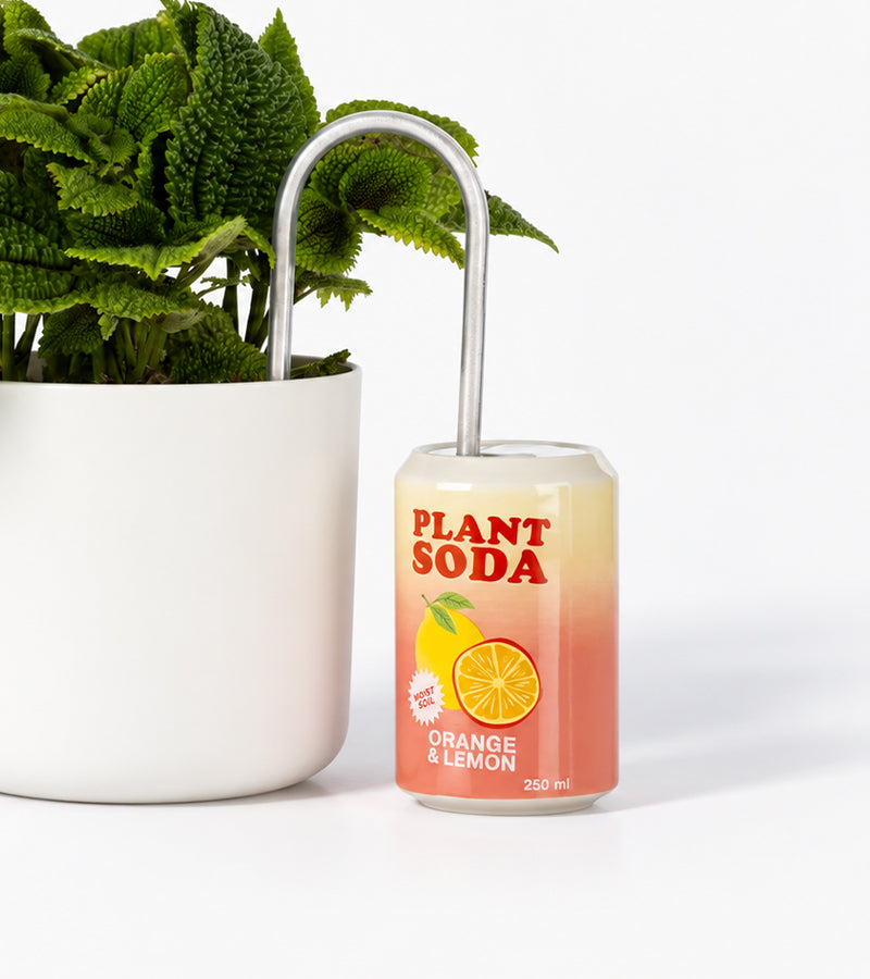 Pflanzenbewässerer im Soda-Dosen-Design