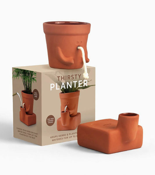 Selbstbewässernder pflanztopf
