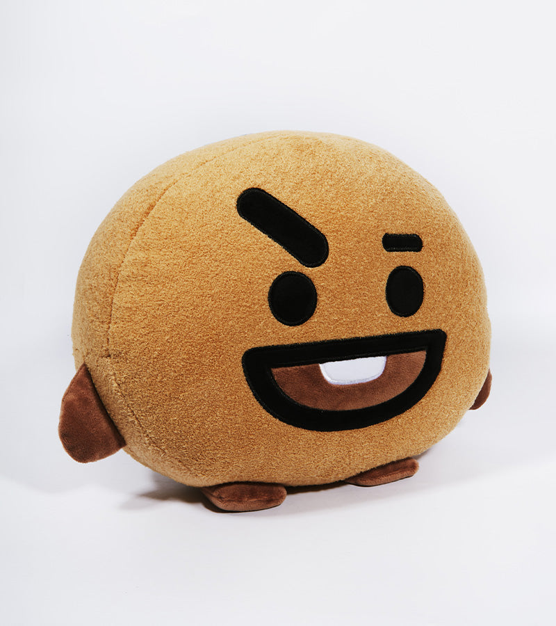 BT21 plüsch kissen