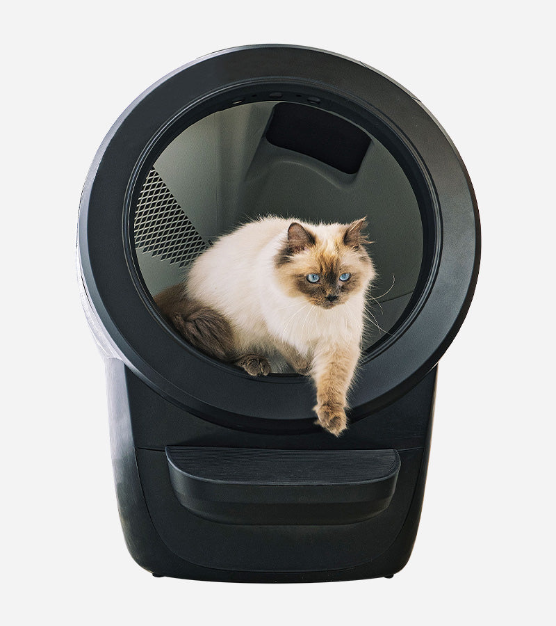 Litter robot 4 selbstreinigende katzentoilette