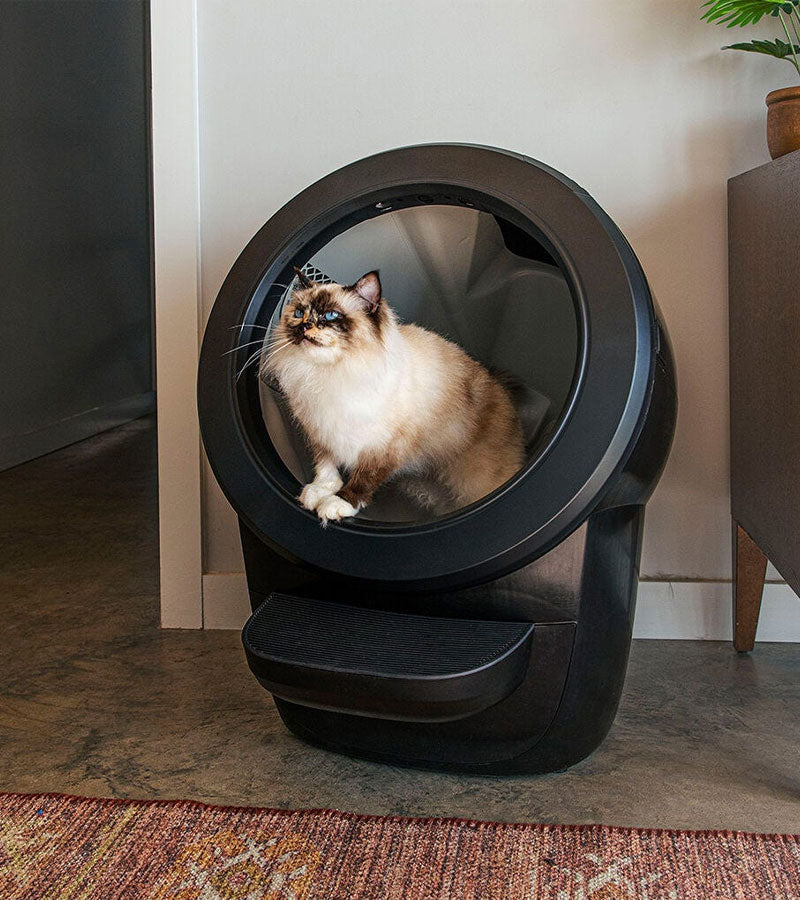 Litter robot 4 selbstreinigende katzentoilette