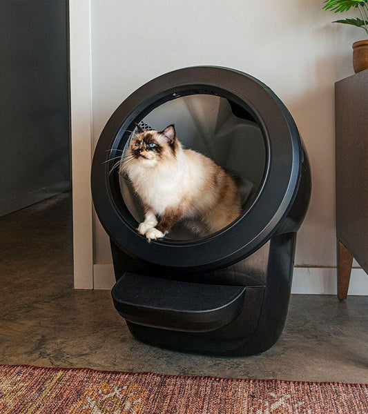 Litter robot 4 selbstreinigende katzentoilette