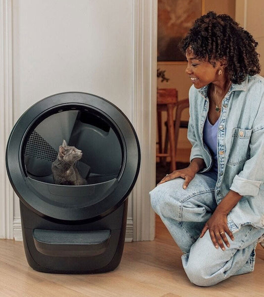 Litter robot 4 selbstreinigende katzentoilette