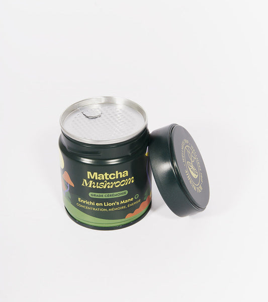Matcha fokus pilze