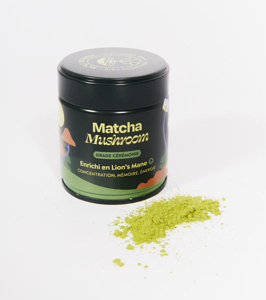 Matcha fokus pilze