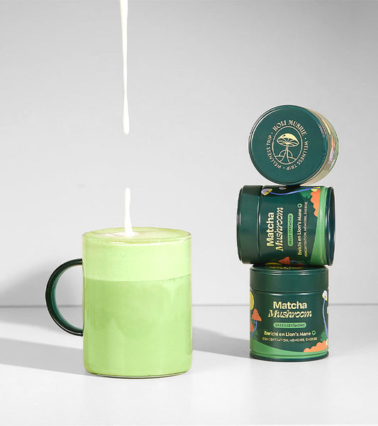 Matcha fokus pilze