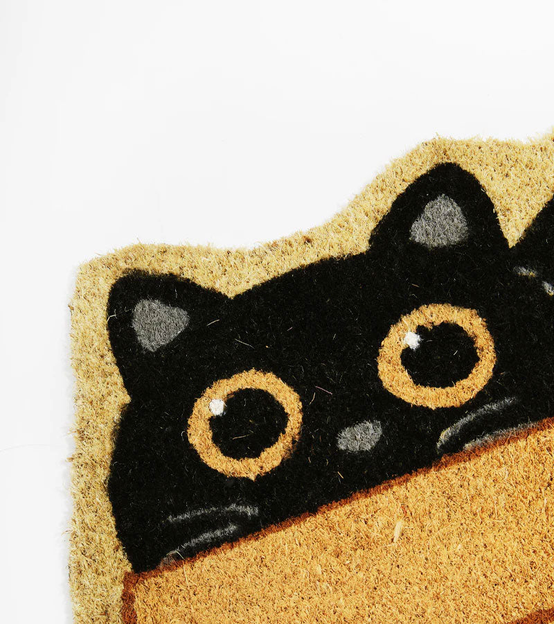 Paillasson chat caché