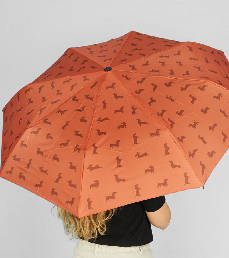 Dackel-Regenschirm