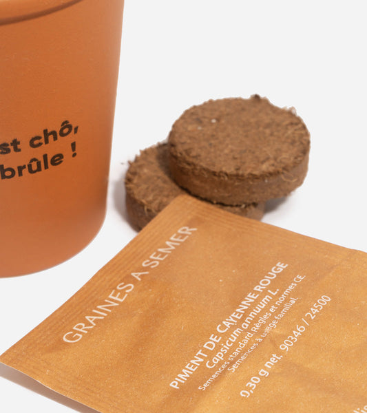 Chili pflanzset
