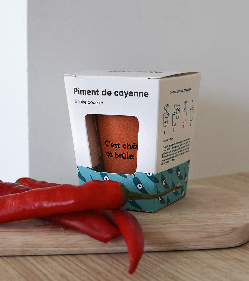 Chili pflanzset