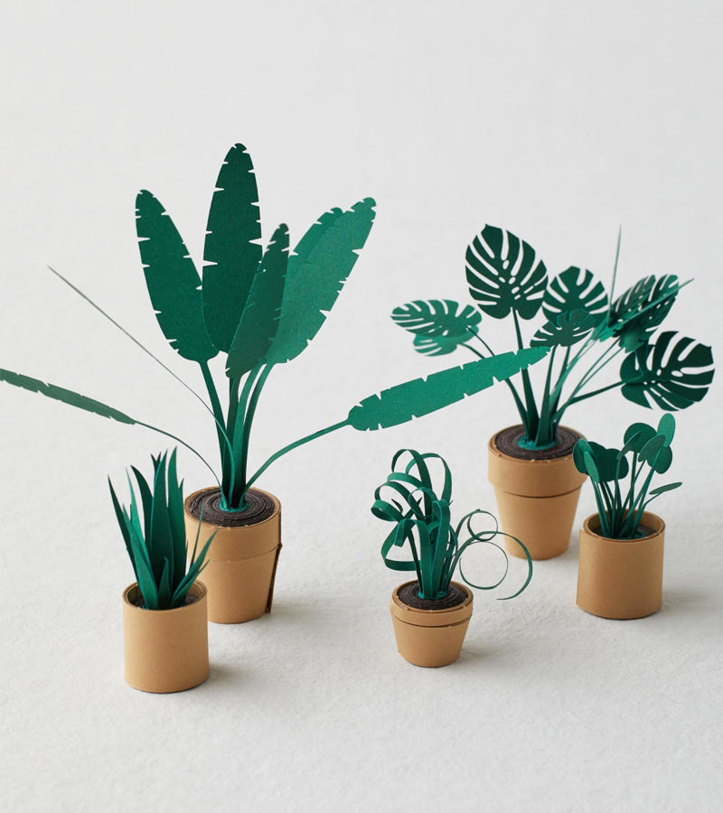 Papierpflanzen diy