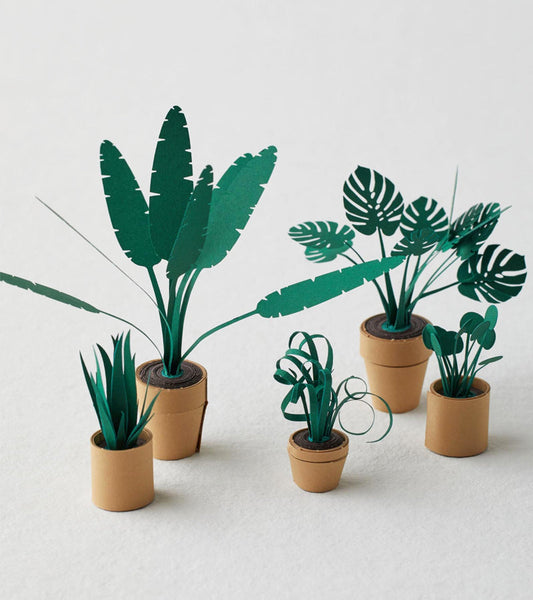 Papierpflanzen diy