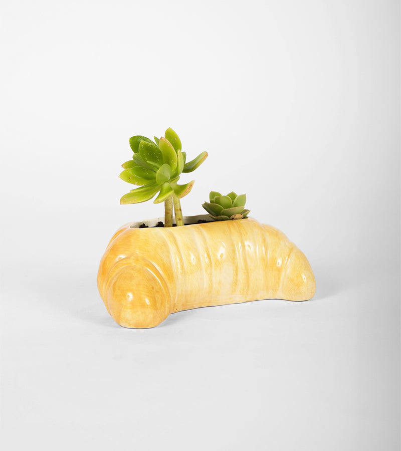 Blumentopf croissant