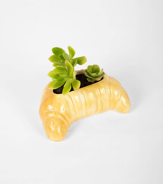 Blumentopf croissant