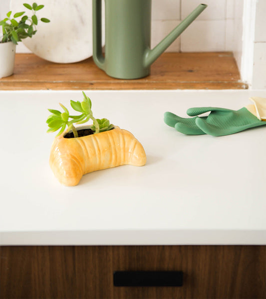 Blumentopf croissant
