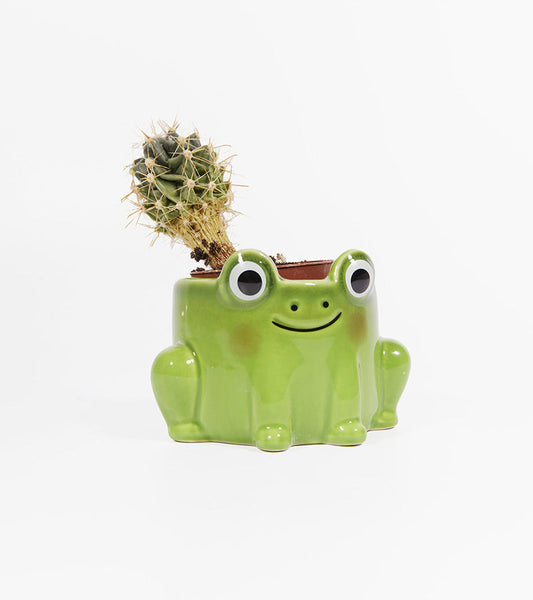 Blumentopf frosch