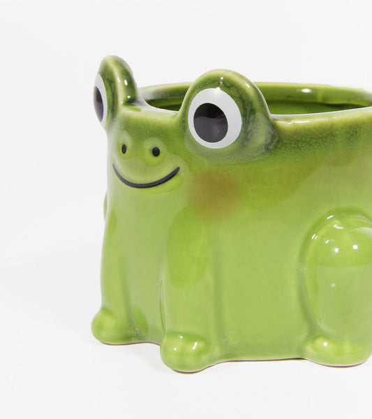 Blumentopf frosch