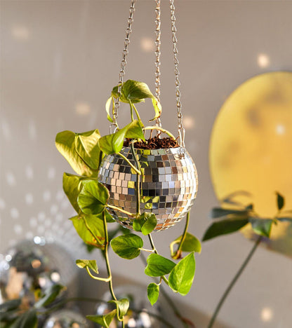 Pot de plantes disco boule à facettes 10cm  L'expressionist