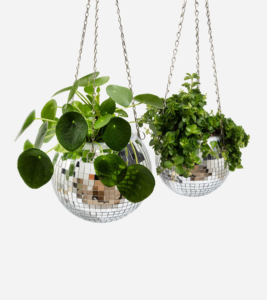 Disco blumentopf spiegelkugel