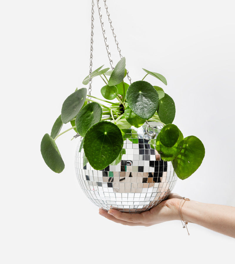 Disco blumentopf spiegelkugel
