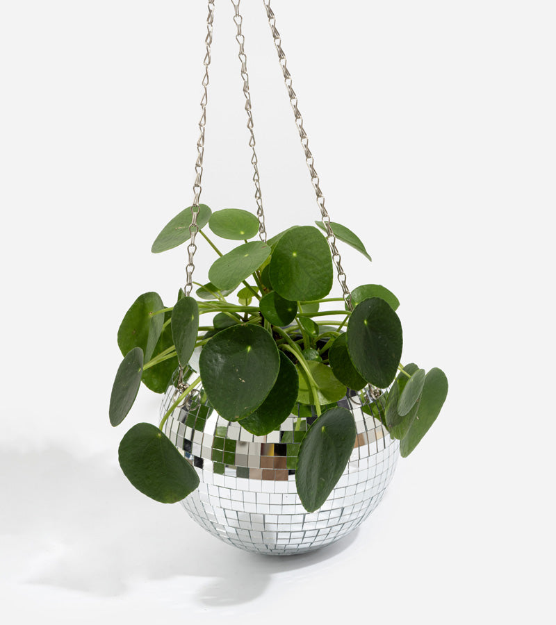 Disco blumentopf spiegelkugel
