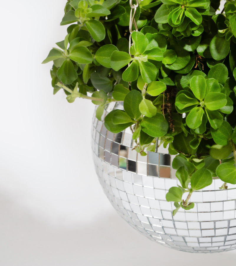 Disco blumentopf spiegelkugel